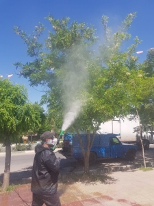 تصویر سمپاشی درختان آرامستان ینگی امام آغاز شد