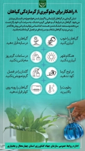تصویر اینفوگرافی| ۸ راهکار برای جلوگیری از گرمازدگی گیاهان