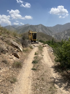 تصویر پایان جولان زمین‌خواران در ییلاقات کرج؛