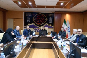 تصویر چهارمین نشست استانی راهبردی پزشک خانواده و نظام ارجاع