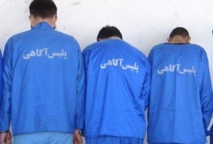 انهدام باند سارقان منزل در فردیس