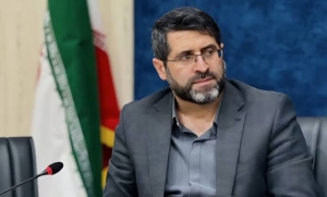تصویر اقدامات مدیریت خدمات شهری و بخشداری‌ها در جمع‌آوری سگ‌های ولگرد ناکافی است