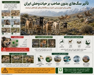 تصویر انتقال بیماری