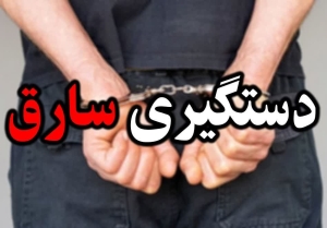 دستگیری سارق لوازم داخل خودرو در جاده چالوس کرج