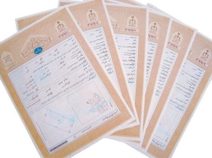 تصویر تاکید دادگستری البرز بر تعیین‌تکلیف فوری اسناد عادی و جلوگیری از بلاتکلیفی املاک