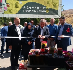 تصویر نمایشگاه پاییزه ویژه بازگشایی مدارس در طالقان افتتاح شد