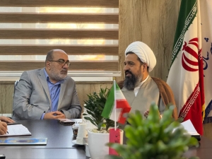 تصویر ساماندهی گروه‌های پزشکی جهادی مستقر در محلات شهرستان چهارباغ
